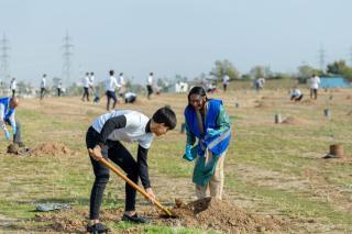 A group of people planting trees in a field.