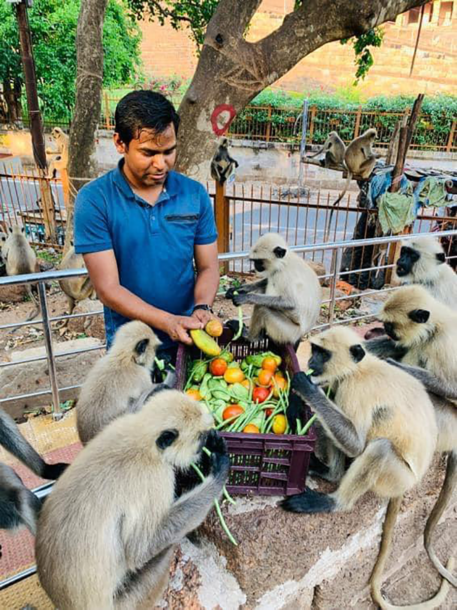 UN-Volunteers-placed-with-UNDP-in-the-state-of-Odisha-has-been-supporting-the-state-and-district-authorities-ensuring-the-safety-of-animals-in-their-communities.png
