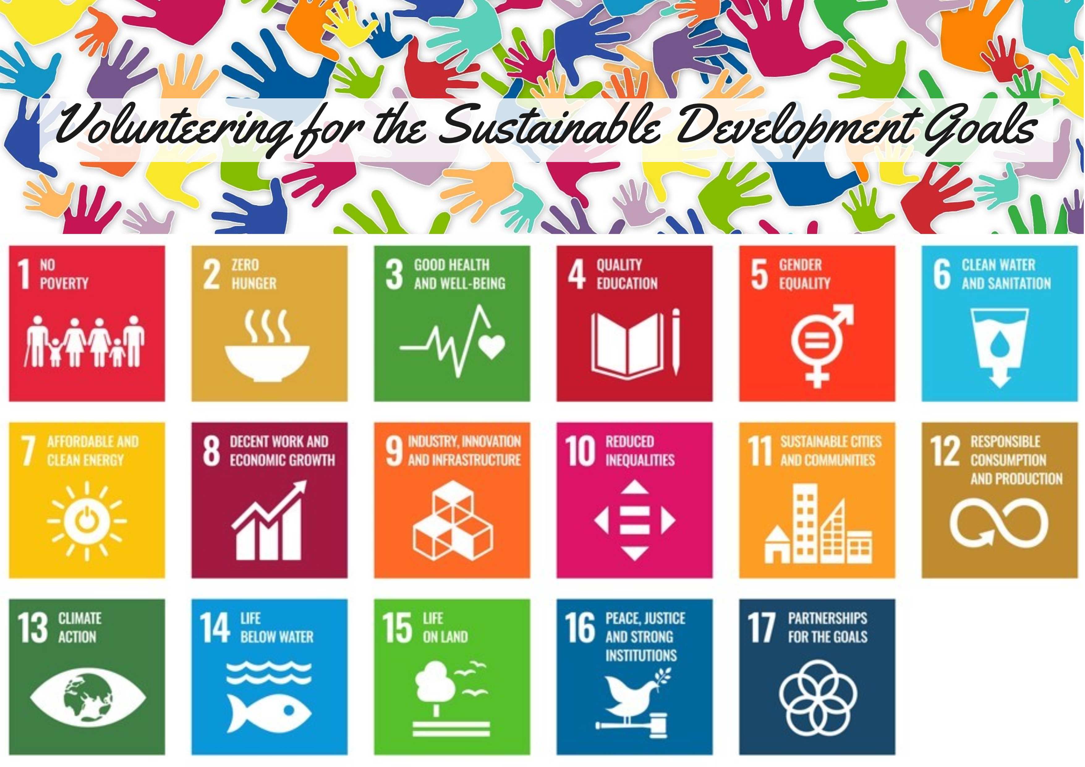 Volunteering for the Sustainable Development Goals course