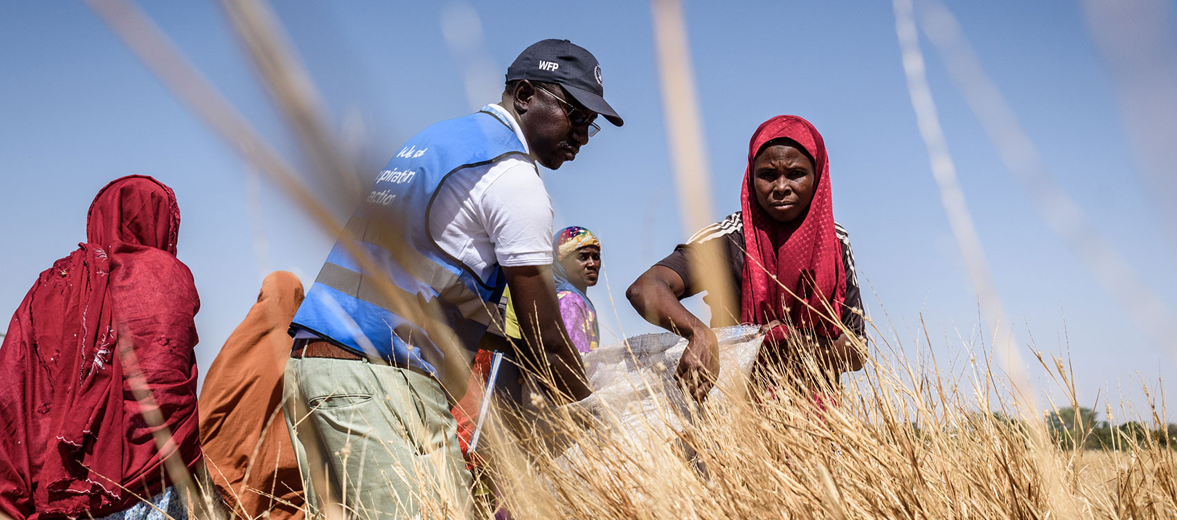 Ismael Abdou Mahamadou is a national UN Volunteer supporting the World Food Program in Maradi, Niger, as Field Monitor Assistant. Here, he participates in training on quality seed collection, as part of participatory community planning. Ismael Abdou Mahamadou is a national UN Volunteer supporting the World Food Program in Maradi, Niger, as Field Monitor Assistant. Here, he participates in training on quality seed collection, as part of participatory community planning.