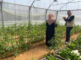 Mahmoud Al-Balawi, UN Volunteer ICT Assistant with WFP in Gaza, during a coaching session with one of the beneficiaries of WFP's smart Remote Farmland Monitoring System.