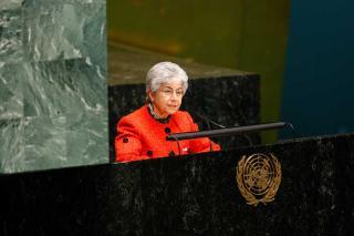 UNV Executive Coordinator Ms Flavia Pansieri addresses the UN General Assembly on the occasion of the 10th anniversary of the International Year of Volunteers.