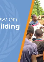 Revue thématique sur la consolidation de la paix au niveau local