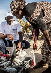 coastal_resources_unv_undp