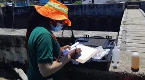 A Guyanan scholar implementing integrated monitoring tools around the coast, as part of an AIS joint research programme.