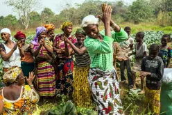 A group of women vegetable growers under the African, Caribbean and Pacific Multilateral Environmental Agreements (ACP MEAs) Programme.
