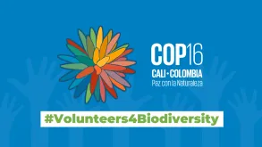 Sixteenth meeting of the Conference of the Parties to the Convention on Biological Diversity (COP 16) will be held in Cali, Colombia, from October 21st to November 1st, 2024.
