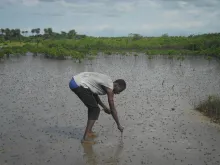 Protecting the mangrove in Ziguinchor, Senegal.
