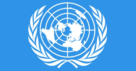 The Executive Board Report 2024