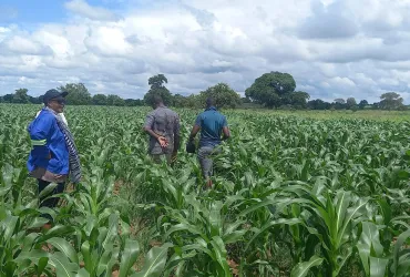 Melody Chali, visiting farms in Namwala district of Zambia 