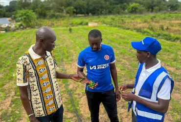 The volunteer pulse of Senegal