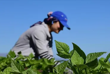Where Change Starts: Volunteers Working with Communities in Türkiye