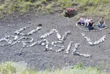 Supporting disaster preparedness, climate change adaptation and food security in El Salvador