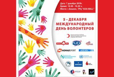 International Volunteer Day event, Kyrgyzstan