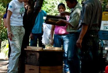 Nicaragua_Apiculture__Volunteer_Antonia_Cermak_with_locals_07.12.jpg