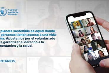 UN Volunteers on a virtual training with civil society volunteers