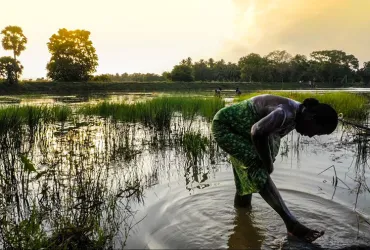 UNDP is pursuing a holistic approach to support Sri Lanka to adapt to a changing climate, which has included reviving millenary ecological wisdom, such as ancient water tanks.