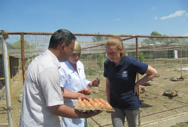 International UN Volunteer Ilona Vilhelmiina Vekkeli (right) meets one of the clients supported by UNDP’s Aid for Trade project.