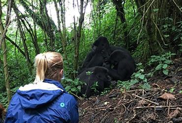 UN Volunteer Programme Support Specialist Linda observes a gorilla family during a field trip to Virunga National Park, Democratic Republic of Congo.