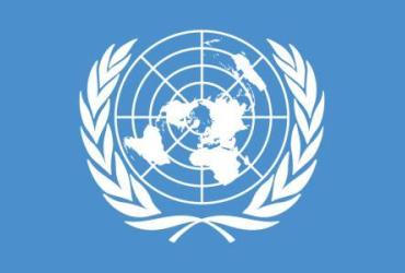 Asociados de las Naciones Unidas