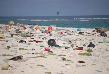 Plastic pollution is becoming a major environmental hazard for beaches and oceans. 