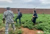 UN Volunteer Paralegal Assistants visiting the Prison de Haute Sécurité in Ouagadougou, Burkina Faso. 