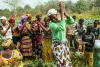 A group of women vegetable growers under the African, Caribbean and Pacific Multilateral Environmental Agreements (ACP MEAs) Programme.