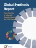 Global Synthesis Report