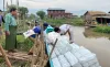 Volunteers assist earthquake-affected communities and the distribution of essential supplies in Myanmar following the 7.7 magnitude earthquake, which affected millions of people.
