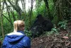 UN Volunteer Programme Support Specialist Linda observes a gorilla family during a field trip to Virunga National Park, Democratic Republic of Congo.